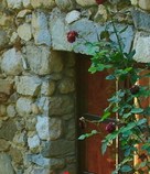 Free Affirmation with quiet garden.