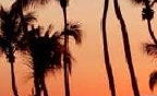free positive affirmations w/ Tropical Sunset